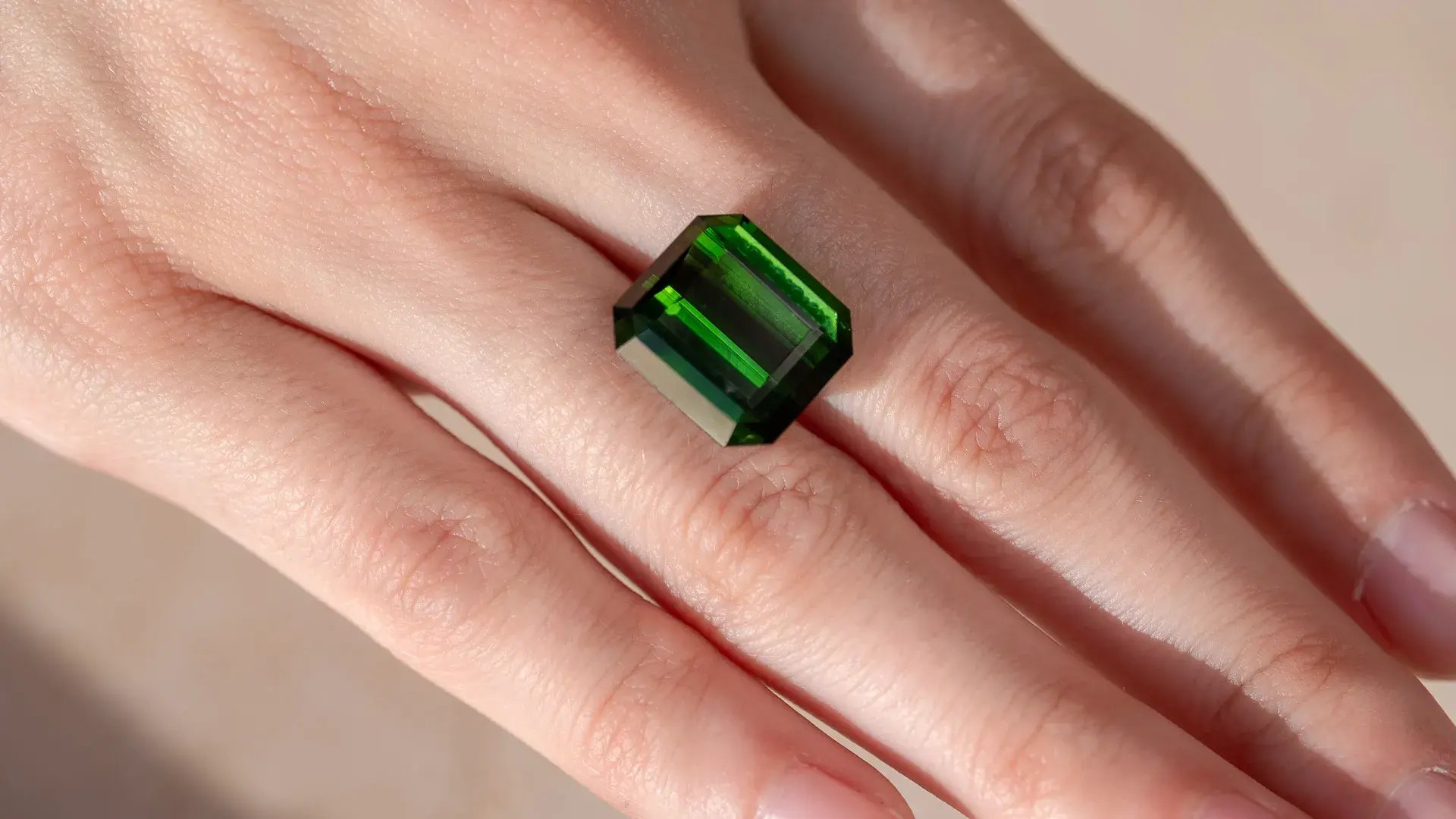 WJ_Tourmaline_T068_Hand_Landscape